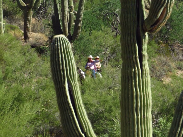 Little Granite Mountain Area, McDowell Sonoran Preserve, Photo Courtesy of Howard Myers 