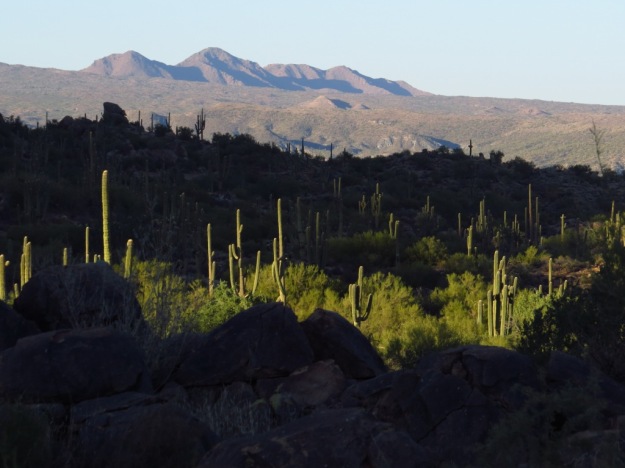 Little Granite Mountain Area, McDowell Sonoran Preserve, Photo Courtesy of Howard Myers 